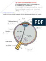 01 L Oeil Systeme Optique de La Formation Des Images