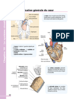 10 Système Circulatoire - Mémo Visuel Physio Dunod 21