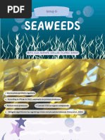 Group 6 - Seaweeds