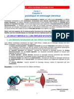 Chapitre 9 - Réflexe Myotatique Et Message Nerveux