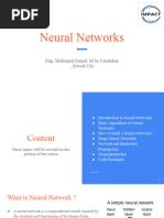 Neural Networks