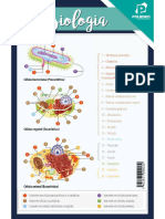 Tabela de Biologia - MP