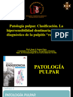 Leccion 22. Pulpitis Reversible