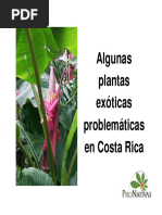 Plantas Exoticas Problematicas