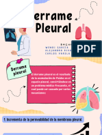 Derrame Pleural PM.