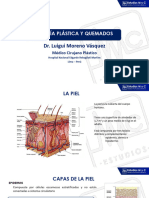 Cirugia Plastica