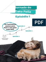 Jornada Do Gato Feliz PDF Aula 1