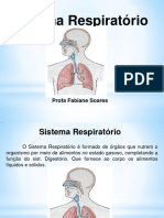 Aula 7 de Sistema Respiratório