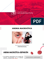 Anemia Macrocítica