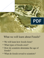 Fossil PowerPoint For Website 015411