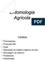 Apresentação Entomologia