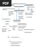 Jean Piaget (Mapa Conceptual)