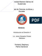 Sintesis de Temas de Derechos