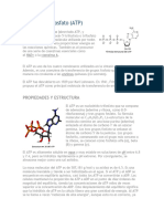 Adenosina Trifosfato (ATP) : Propiedades Y Estructura