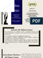 Habeas Corpus Presentacion