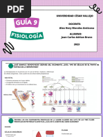 Fisiologia 9 Práctica