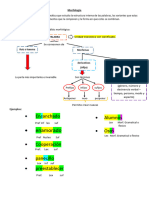 Tema 2. Morfología