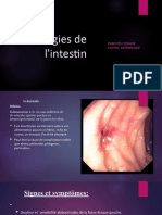 Pathologies de L'intestin Groupe 5