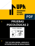 Test de Pata Negra. Análisis e Interpretación de Resultados.