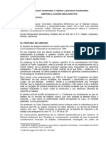 Unidad XIII AMPARO y ACCION DECLARATIVA