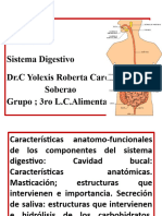 Tema 5. Conf 2 Sistema Digestivo Cavidad Bucal