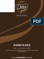 Barista Bão