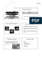 04 - Dermatopatias Alérgicas