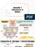 Farmacología de La Tiroides