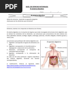 Sistema Digestivo Martes Guia