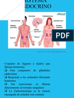 Clase Iv Sistema Endocrino