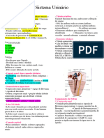 3 Sistema Urinário - ORGANOLOGIA