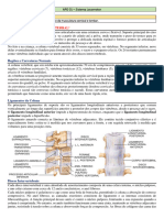 APG 01 SOI V Sistema Locomotor Revisão