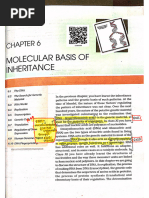 Molecular Basis of Inheritance Ncert Mar20240317105333704