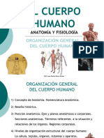 El Cuerpo Humano