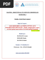 Les Mesures Alternatives Aux Poursuites Pénales (Version Rectifiée)