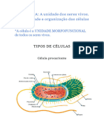 Aula 01 - Célula. A Unidade Dos Seres Vivos. Diversidade e Organização Das Células.