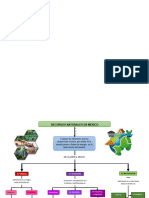 Recursos Naturales Mapa Conceptual