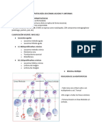 FIsiopato Neoplasias Hematológicas