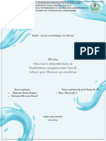 TP N°01 Détection Et Dénombrement de Pseudomonas Aeruginosa Dans L'eau de Robinet Après Filtration Sur Membrane