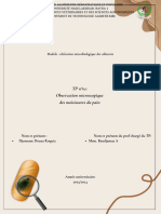 TP N°01 Observation Microscopique Du Pain Moisi