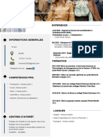 CV Job D'été PDF