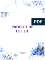 Proiect de Lecție