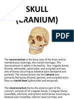 Anatomy Lect of Skull 2