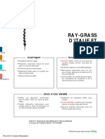 Ray-Grass D'Italie Et Hybride: Avantages Inconvénients