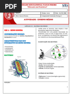 21 03 24 Bio 2 Bactérias e Bacterioses