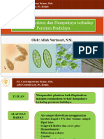 Presentasi Plankton Afiah