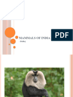 Mammals of India