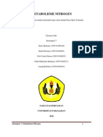 Metabolisme Nitrogen