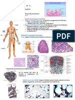 Tejido Linfoide y Respuesta Inmuitario