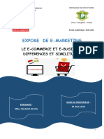 Expose de E-Marketing